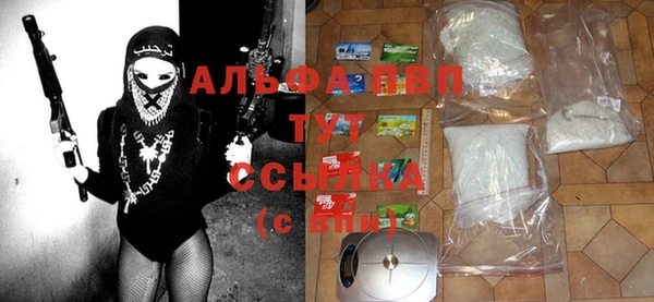 spice Сатка