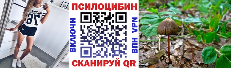 продажа наркотиков  Сочи  KRAKEN рабочий сайт  Галлюциногенные грибы ЛСД 